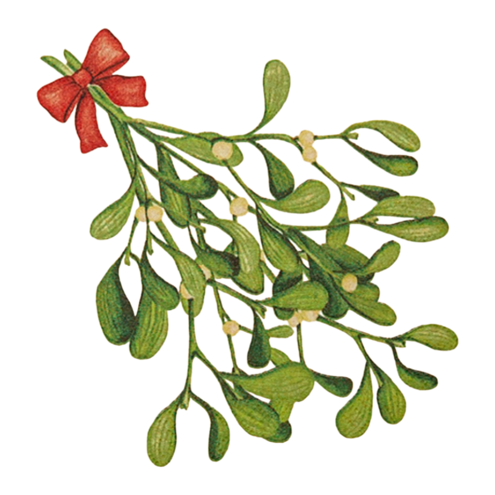 CARL DIETRICH GMBH Servietten eco 33x33cm natur mit Mistelzweig und rotem Band, umweltfreundliche Weihnachtsservietten, 20 Stück