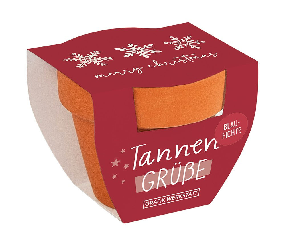 Pflanztöpfchen mit Christbaum-Samen von Grafik Werkstatt, Tannengrüße Weihnachten, 60x50mm, nachhaltiges Geschenk
