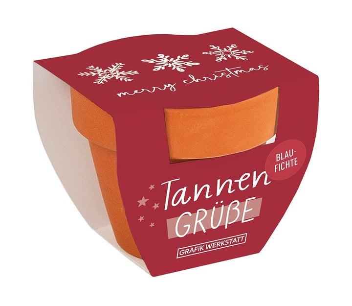 Pflanztöpfchen mit Christbaum-Samen von Grafik Werkstatt, Tannengrüße Weihnachten, 60x50mm, nachhaltiges Geschenk