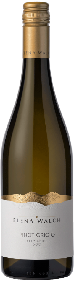 Walch, Pinot Grigio Alto Adige D.O.C. 2024, 0,75 l