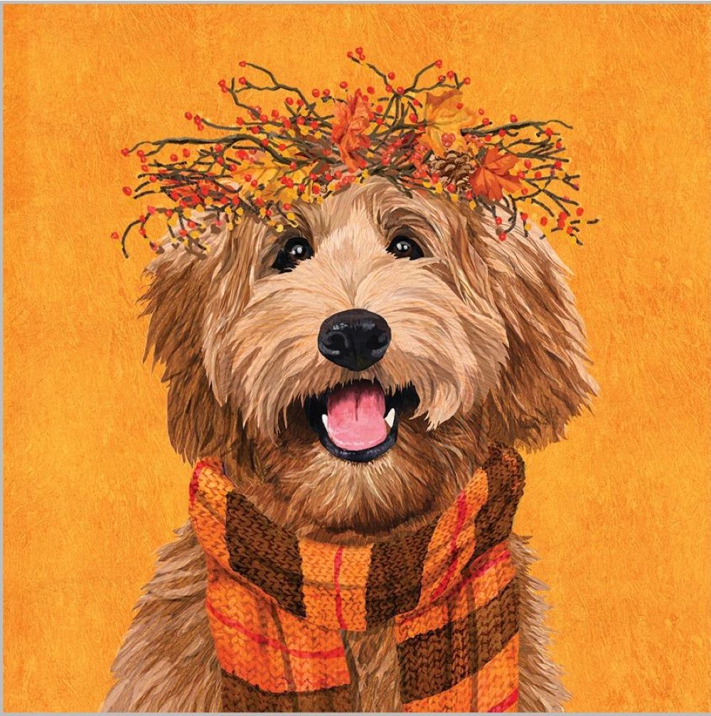 ppd Cocktailservietten Dudley 25x25 cm mit charaktervollem Dudley Design, 20 Stück, 3-lagig, FSC-zertifiziert