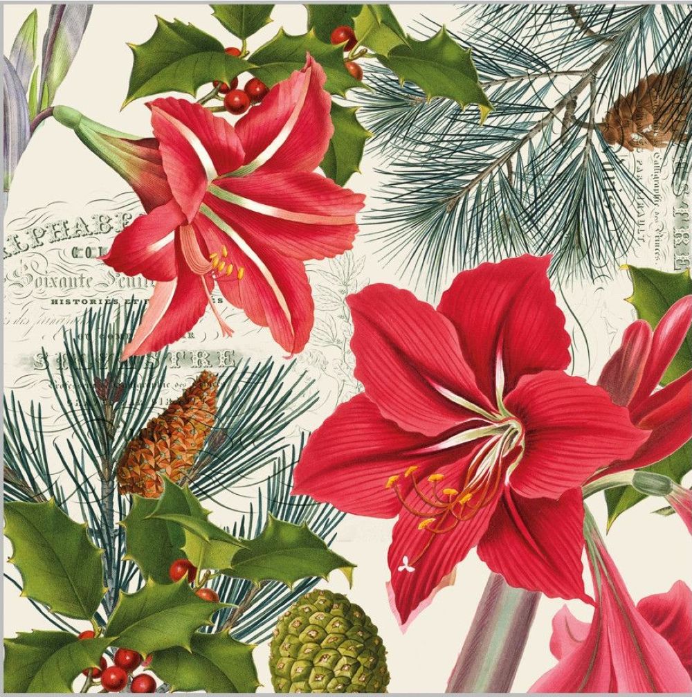 ppd Cocktailservietten Amaryllis sur beige 25x25 cm mit elegantem Amaryllis-Design auf beigem Hintergrund, 20 Stück, 3-lagig, FSC-zertifiziert