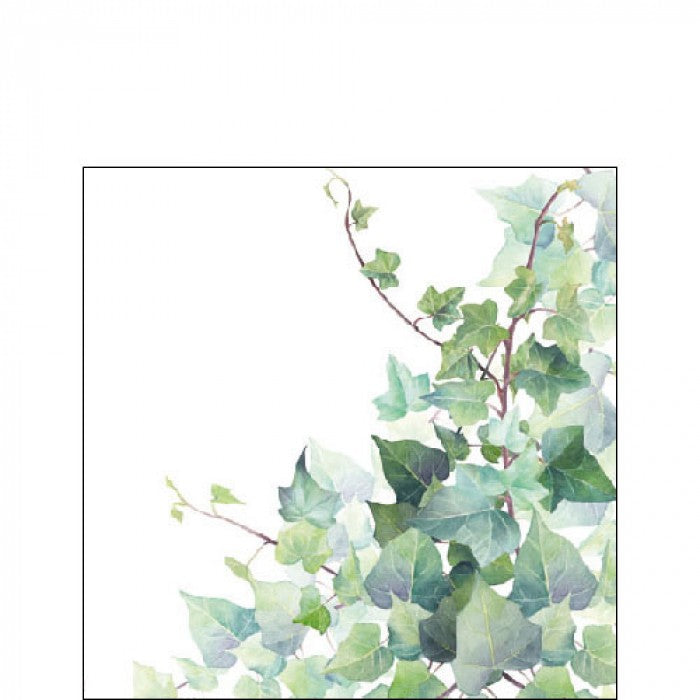 Cocktailservietten 25 x 25 cm, Efeu Hedera white