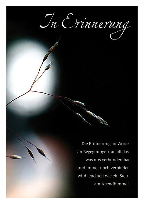  Classic Line Doppelkarte Stern Trauerkarte