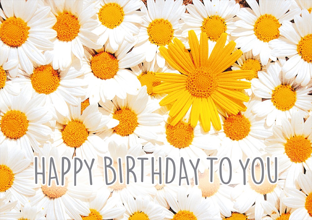 Classic Line Doppelkarte Happy Birthday to you