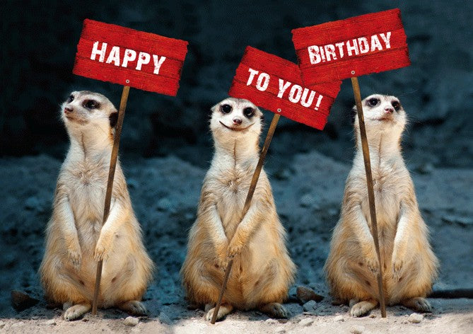 Classic Line Doppelkarte Happy Birthday to you