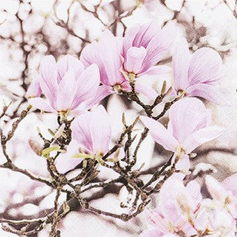 Cocktailservietten Pink Magnolia 25x25 cm Home Fashion 3 lagig Tissue 20 Stück rosa floral Magnolie