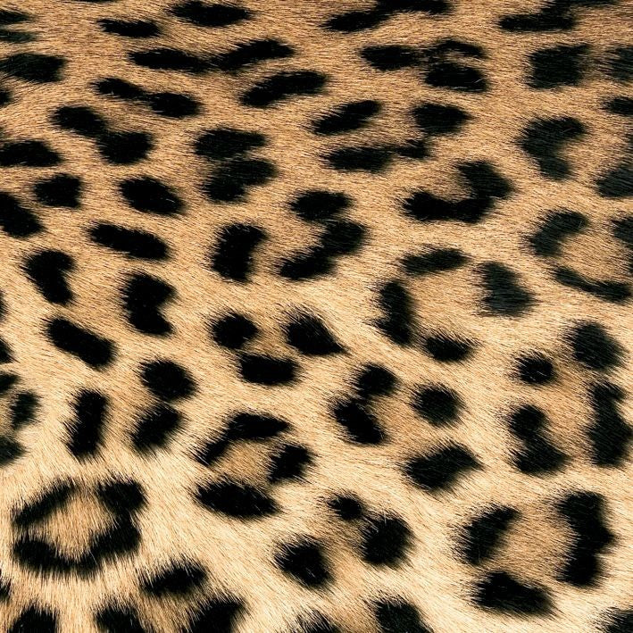 Servietten Leopard Couture ppd Leopardenmuster braun Tissue lebensmittelecht FSC 33 x 33
