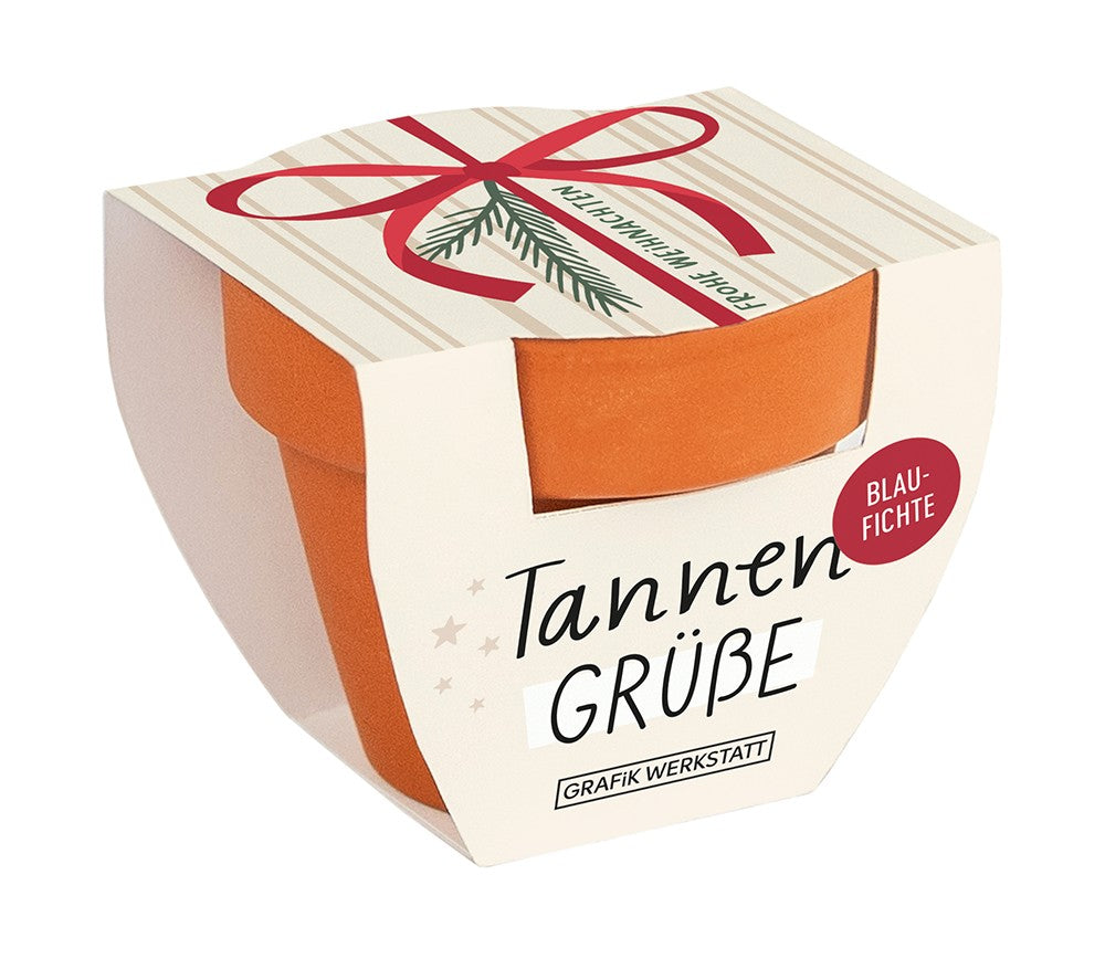 Kerze Tannengrüße Grafik Werkstatt Blaufichte Weihnachten