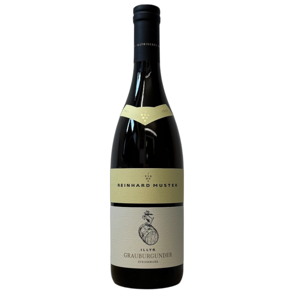 Weingut Muster.Gamlitz Grauburgunder ILLYR 2023 - goldgelber Weißwein aus der Steiermark mit Messingschimmer