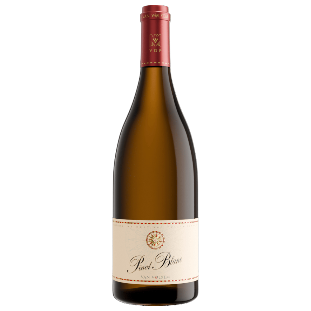 Van Volxem Pinot Blanc VDP Gutswein 2021 - deutscher Weißwein aus Wawerner Schiefersteillagen mit einjährigem Hefelager