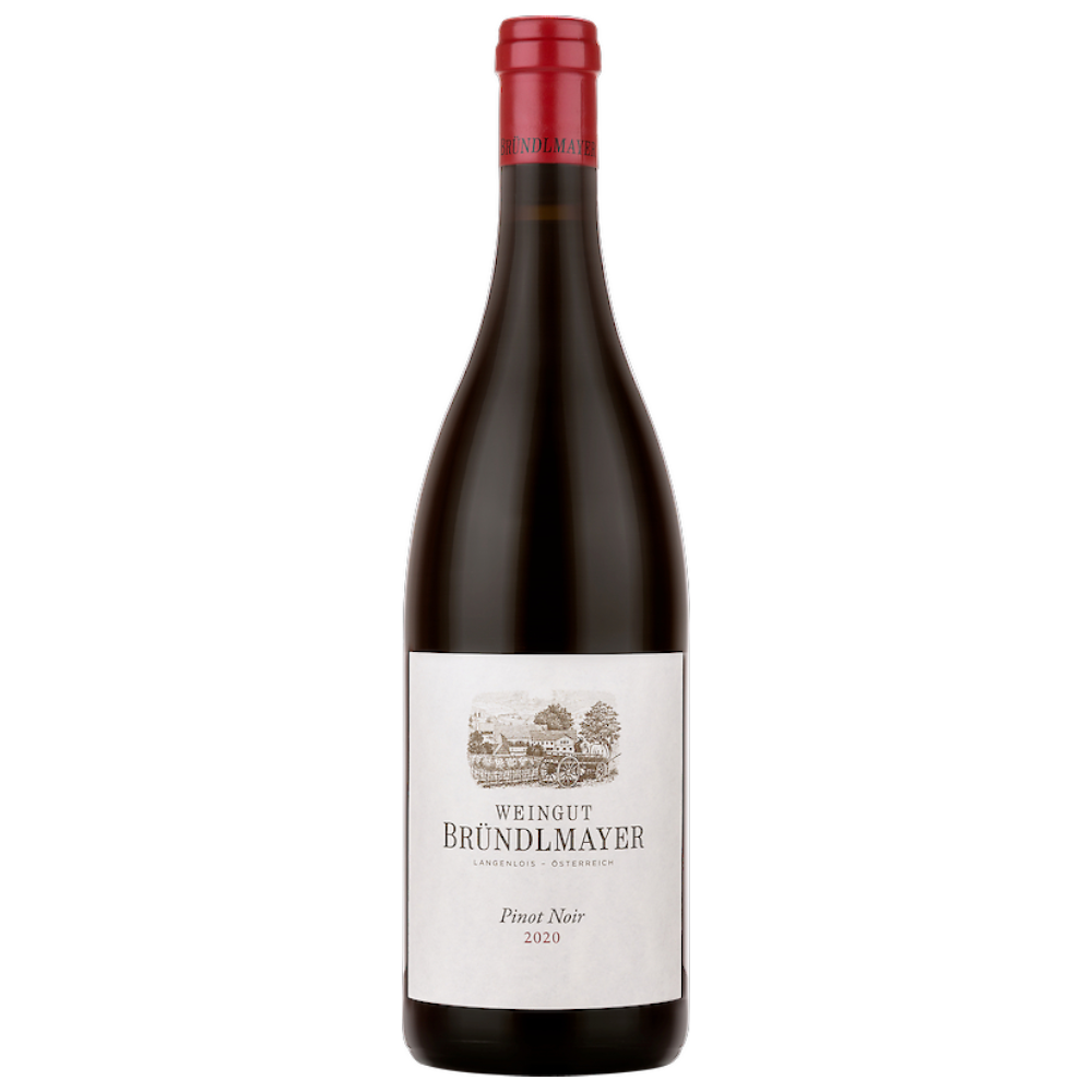 Bründlmayer Pinot Noir 2020 – rote Beeren, Burgunderstil, Kräuter, mineralisch, elegant