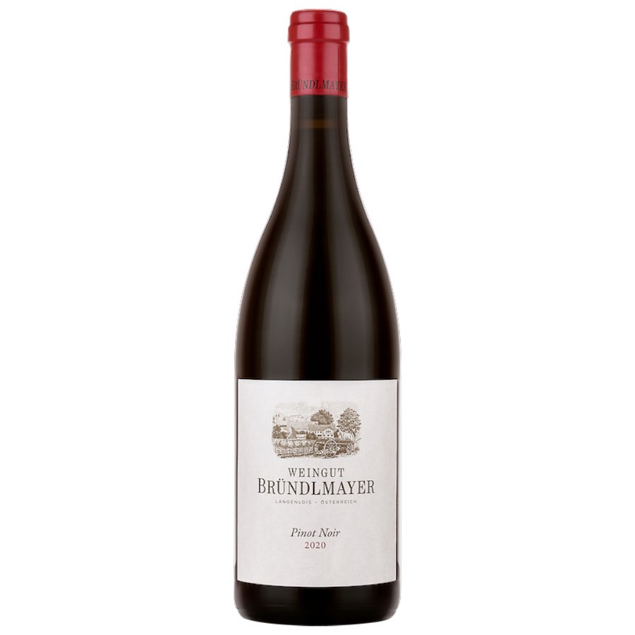Bründlmayer Pinot Noir 2020 – rote Beeren, Burgunderstil, Kräuter, mineralisch, elegant