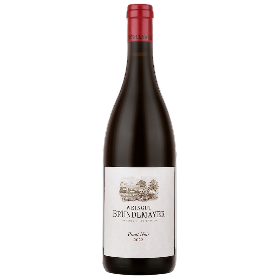Bründlmayer Pinot Noir 2022 0,375 l Waldbeeren Zwetschken Schwarzkirsche Veilchen