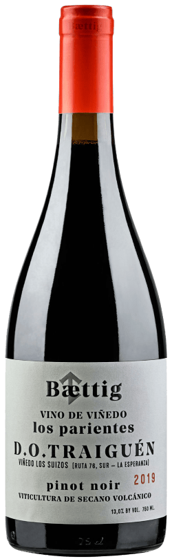 Baettig, Vino de Vinedo Los Parientes Pinot Noir 20, 0,75 l - Weinatelier Agnes