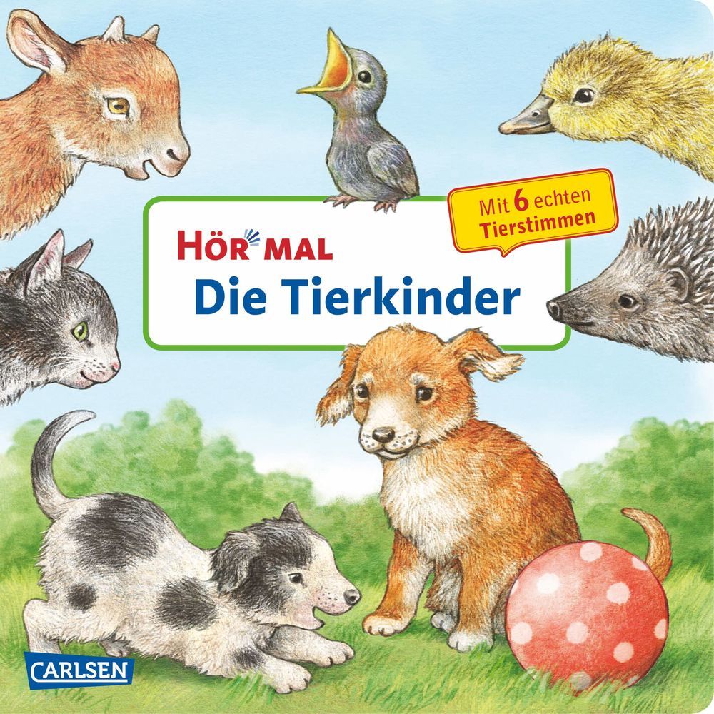 Anne Möller: Hör mal (Soundbuch): Die Tierkinder