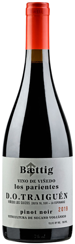 Baettig, Vino de Vinedo Los Parientes Pinot Noir 20, 0,75 l